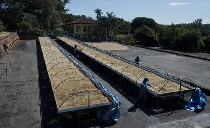 Trabajadores de SOIL manejan los contenedores de residuos en Haití.