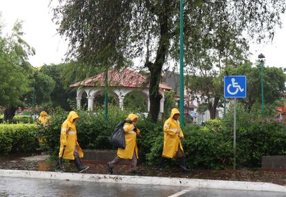 Trabajadores municipales cortan ramas antes de que el huracán Agatha toque tierra en Huatulco, Oaxaca, este lunes. Al menos 75 municipios del Estado sureño mexicano de Oaxaca se encuentran este lunes con alerta de peligro máximo ante la cercanía del huracán Ágatha, que se encamina a las costas de dicha entidad y podría afectar a Chiapas, también en el sur, informaron autoridades de protección civil.
