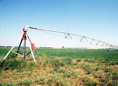 Instalación de riego en un campo de remolachas