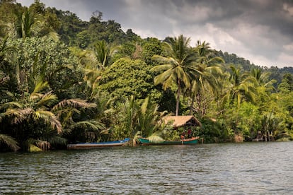 El río Tatai, a su paso por la provincia de Koh Kong (Camboya).