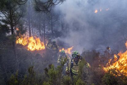 A estas masas forestales jóvenes e inestables habrá que sumar una parte de las superficies repobladas a partir de la década de los cuarenta del pasado siglo, que han contribuido, también por su falta de gestión, a incrementar esta superficie forestal inestable e inflamable. La BRICA de Granada del dispositivo Infoca (Incendios Forestales de la Comunidad de Andalucía) trabaja en la extinción del incendio en Jubrique, Málaga.