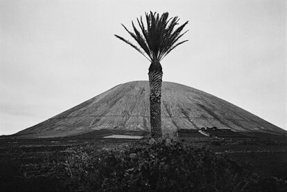 Cono volcánico cerca de Tinajo, 2008. <br><b>Diario sentimental de Lanzarote</b><br>Mi primer encuentro con Lanzarote fue en mayo de 2008, durante un viaje que incluiría también unos días en Fuerteventura. Después de unos años, inmerso en mis pensamientos, me sorprendió que el único recuerdo claro y nítido que tenía de aquel viaje era el de los volcanes, cactus, líquenes y tanta lava circunscrita de un océano impetuoso. Con sus pueblos blancos rodeados de un mar negro de lava, Lanzarote me había impresionado. Una isla donde el verde y la sombra solo existen gracias a los arboles de eucaliptos y de palmas que han sido plantados a lo largo de los años. Una isla que ha logrado mantener su autenticidad en gran parte del territorio gracias a la determinación de sus habitantes, entre los que destaca César Manrique, arquitecto y paisajista. Gracias a su visión, el artista polifacético ha ayudado a preservar el encanto de Lanzarote priorizando la naturaleza por encima de una segura construcción masiva. Comencé a ir con relativa frecuencia. Y a fotografiarla estrictamente en formato analógico para empatizar con aquel ritmo característico de la isla. Simplemente me dejé llevar en busca del vínculo tierra-agua-hombre.