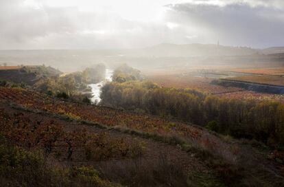 Viñedos de Macán, la bodega de los Álvarez en La Rioja, en asociación con Benjamin de Rothschild.