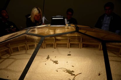 Los visitantes observan el Teatro del Mundo del artista chino Huang Yong Ping,
