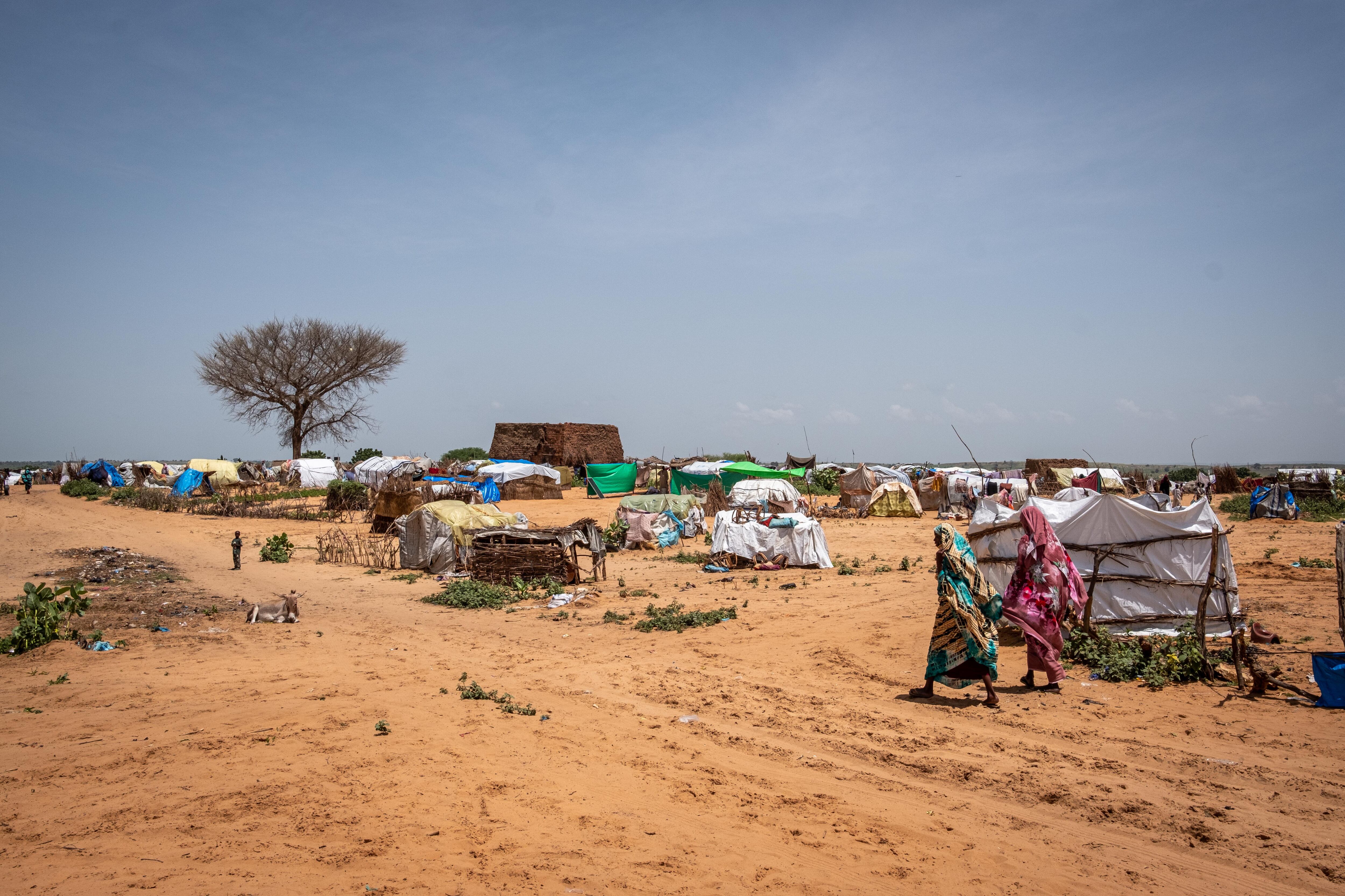 Refugiados sudaneses en el campamento Camp École de Chad.