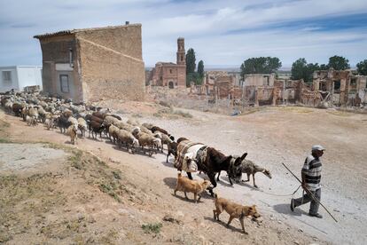 El pastor José Manuel García con sus ovejas en el campo de Belchite, afectado por la sequía, el pasado 9 de mayo, a la altura de Almonacid de la Cuba (Zaragoza).