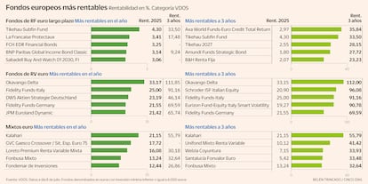 Fondos europeos más rentables Gráfico