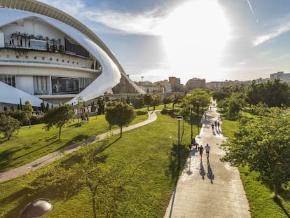 Parque en el antiguo cauce del río Turia, en Valencia, junto a la Ciudad de las Artes.