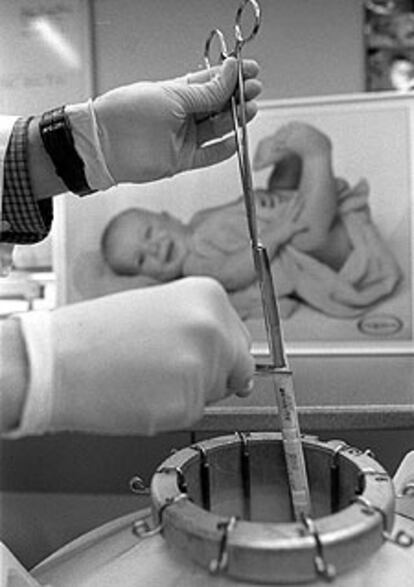 Trabajo en un laboratorio de inseminación artificial.