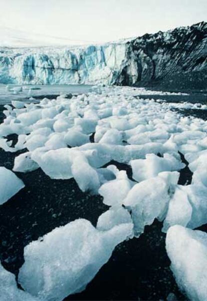 Bloques de hielo en la península Antártica en 1990.