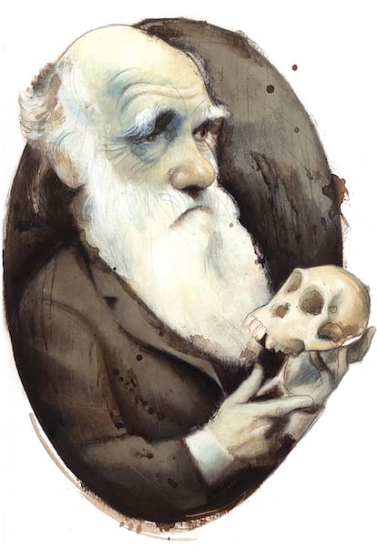 Charles Darwin, por Fernando Vicente