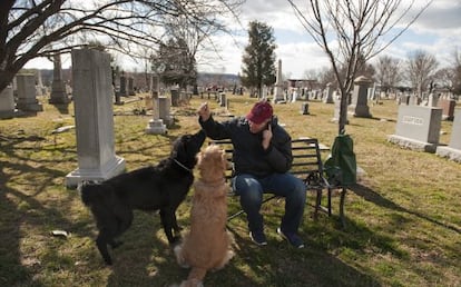 Un hombre pasea a sus perros en el Cementerio del Congreso