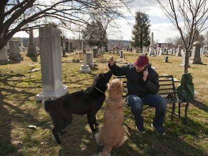 Um homem passeia com seus cachorros no Cemitério do Congresso.