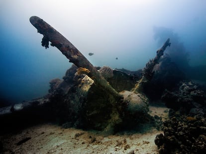 En la laguna del atolón coralino de Chuuk, en el Pacífico, una serie de ataques aéreos estadounidenses hundió una flota completa de barcos japoneses en 1944 enviándolos al fondo del océano. Un cementerio submarino donde descansan decenas de aviones, vehículos militares y barcos oxidados.