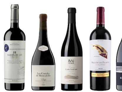 Seis magníficos vinos de una uva segundona: la maturana