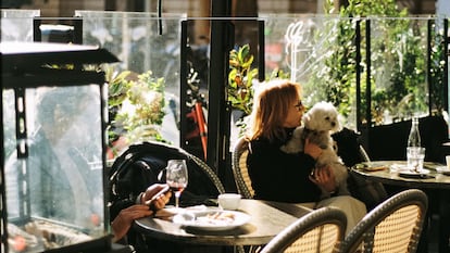 La terrassa del Bar Bosc de Barcelona.
