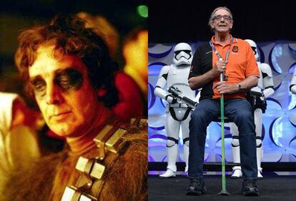 Peter Mayhew (1944), con sus 2 metros y 20 centímetros de altura, es el hombre bajo la melena de Chewbacca. No era actor cuando fue contratado para interpretar a un minotauro en una película de Ray Harryhausen el mismo año que acabó rodando 'Star Wars'. En ambas películas, lo que importaba era su altura, ya que nunca se le veía la cara.<p>Desde la trilogía original, Mayhew ha dedicado su vida a acudir a convenciones de fanáticos de 'La guerra de las galaxias', a actos benéficos en hospitales de niños y a aparecer en anuncios de televisión. Y en 'La venganza de los Sith' tuvo la oportunidad de volver a ponerse bajo la piel del peludo wookie o, como le llamaba el personaje de la princesa Leia, el "felpudo con patas".