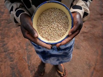 Maria Chagwena, una agricultora de Zimbabue, muestra un cuenco con granos de mijo en el distrito de Rushinga, al noreste de Harare, capital del país, en enero de 2023