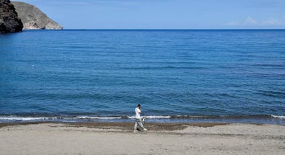 Un hombre pasea con su perro en la playa de Las Negras, en el municipio almeriense de Níjar, una de las playas de Andalucía que está preparada parar la apertura al baño cuando se pase a la Fase 2