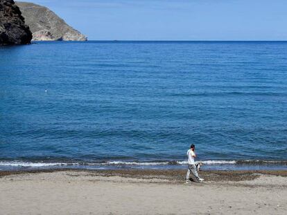 Un hombre pasea con su perro en la playa de Las Negras, en el municipio almeriense de Níjar, una de las playas de Andalucía que está preparada parar la apertura al baño cuando se pase a la Fase 2