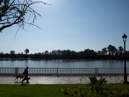 Un hombre camina por el paseo fluvial de Coria del Río.