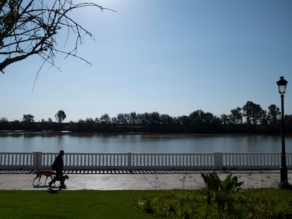 Un hombre camina por el paseo fluvial de Coria del Río.