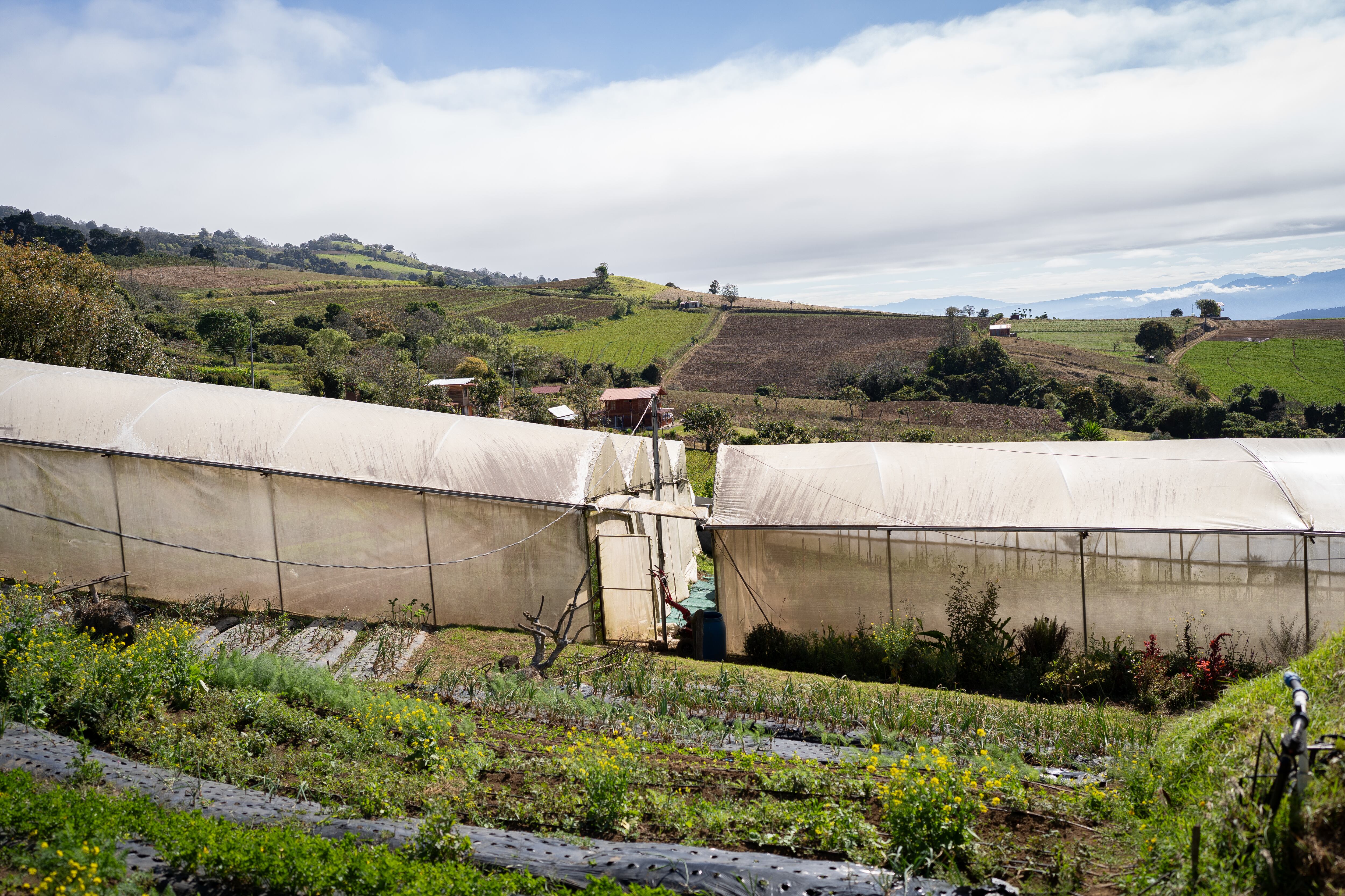 Vista de la finca Rinconcito Orgánico Irazú, en Costa Rica. 