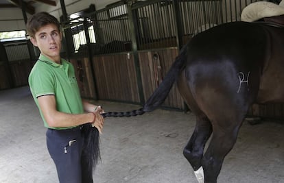 Guillermo Hermoso de Mendoza, de 19 años de edad, hace una trenza con la cola de Jíbaro, un caballo joven que ya ha dado muestras de su habilidad ante el toro y el poderío que puede desarrollar en el futuro.