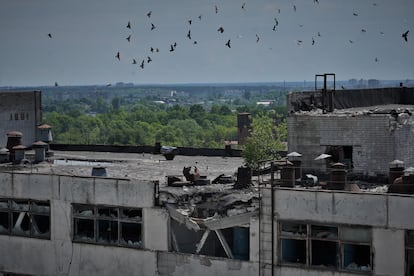 Instalaciones bombardeadas de la empresa Mlybor, en Chernihiv.
