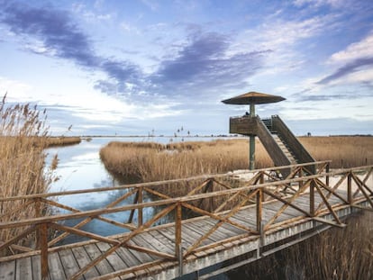 Torre d'observació ornitològica a la llacuna de l'Encayissada, al Delta de l'Ebre.