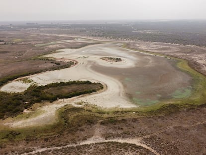 Vista aérea de la laguna de Santa Olalla, el pasado 9 de agosto de 2023, captada por la Estación Biológica de Doñana, dependiente del CSIC.