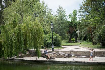 El parque de la Ciutadella de Barcelona luce salvaje después de siete semanas cerrado.