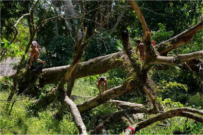 Crianças brincam em aldeia dentro da Terra Indígena Yanomami, onde vivem 25.000 índios.