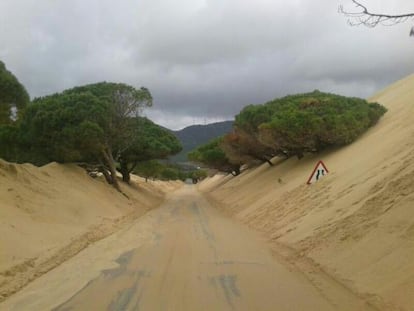 La carretera junto a la duna de Valdevaqueros, el pasado martes.