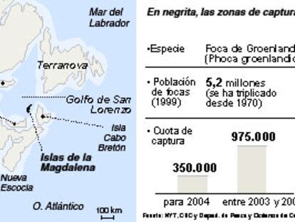 Terranova, Canadá