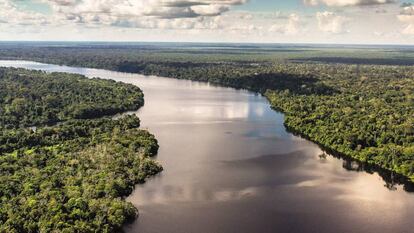 Pacaya Samiria, uno de los pulmones verdes más importantes del planeta.