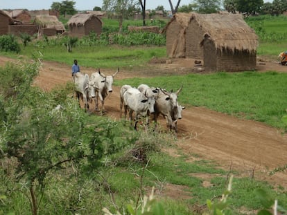 Viaje a Chad (7): Visita a Djoro