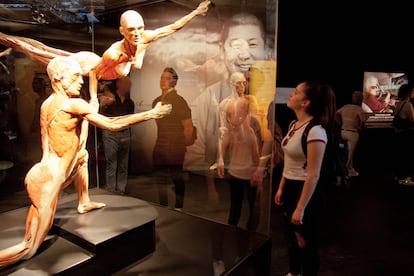 Unos visitantes observan las piezas expuestas en Body Worlds, en Ifema.