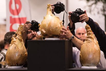 Periodistas fotografían el podio de las cebollas ganadoras en la competición de la cebolla más pesada durante el primer día de la Feria de Flores de Harrogate (norte de Inglaterra).