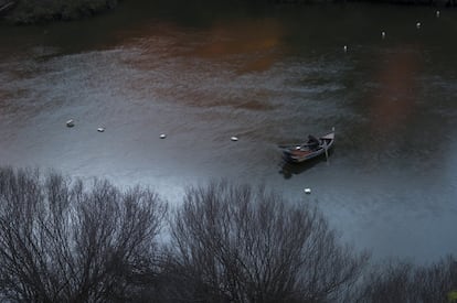 Pesca de lampreia em Mértola, Portugal.