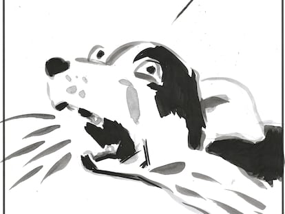 El Roto