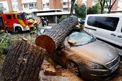 Bomberos retiraban el tronco de un árbol caído por el fuerte viento, este jueves en Madrid. 