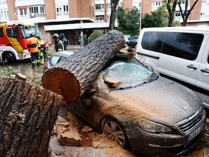 Varios bomberos junto a los restos de un árbol caído por el fuerte viento, este jueves en Madrid.