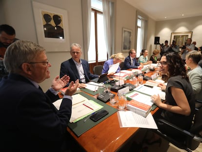 Reunión del pleno del Consell celebrado este viernes en Alicante.