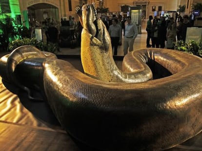 El modelo de Titanoboa, en el Smithsonian de Washington.