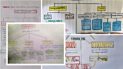 Mapas conceptuales. Producciones de estudiantes de quinto curso de Primaria