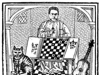 Bechara, los gatos y la gloria