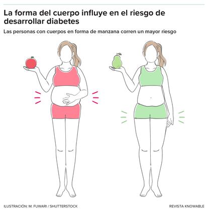 El riesgo de diabetes no solo depende de la cantidad de grasa que se tenga, sino de dónde se tenga. Las personas con forma de “manzana”, con gran parte de la grasa en el abdomen, tienen más riesgo de diabetes que las que tienen forma de “pera”, que acumulan la grasa bajo la piel, sobre todo en las caderas.