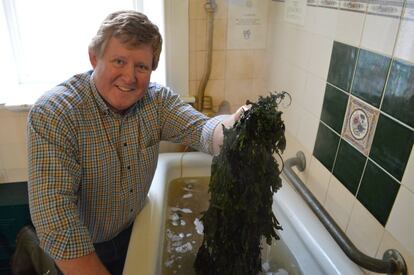 La terapia mezcla los aceites y yodo desprendidos por las algas en el baño con el agua caliente y el vaho relajante.