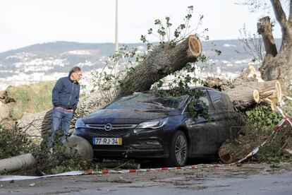 Un hombre observa un coche destrozado por un árbol tras el paso de la tormenta Leslie en Figueira da Foz, Portugal, el 14 de octubre de 2018. 